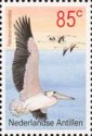 Great White Pelican (Pelecanus onocrotalus)